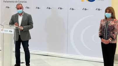 NC pide que el Consultivo analice las prerrogativas de los diputados del Mixto tras abandonar el partido
