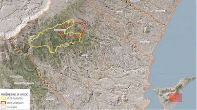Los gastos derivados del incendio forestal en Arico ascienden a 67.838,65 euros