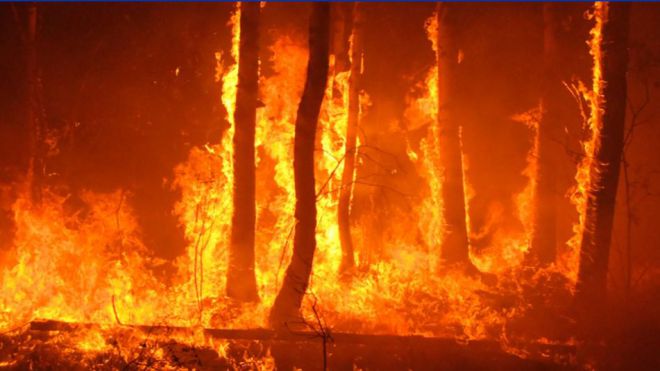 Situación de Alerta Máxima por Riesgo de Incendios Forestales