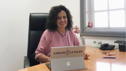 El Cabildo de La Palma aprueba el Plan Estratégico de Participación Ciudadana
