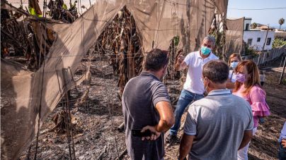 CC reclama que las ayudas por el incendio de La Palma sean tramitadas por los ayuntamientos