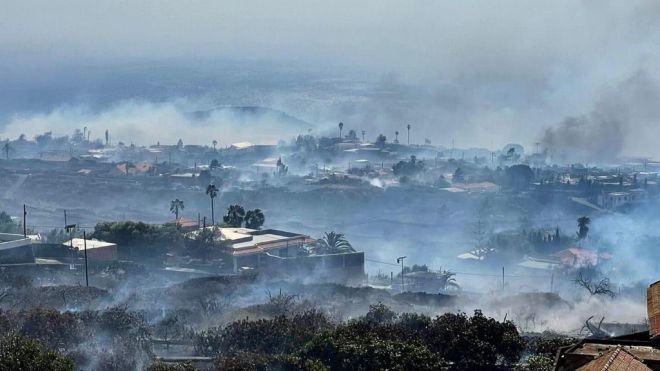 El Gobierno declara la situación de desastre natural en el sector agrario de La Palma