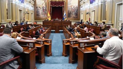 Se aprueba por unanimidad llevar el incumplimiento del REF ante el Tribunal Constitucional