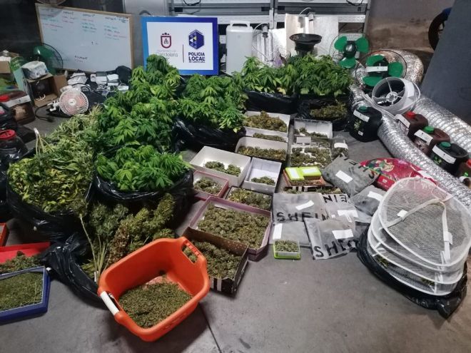 Detenidos dos jovenes por cultivo de marihuana en Candelaria