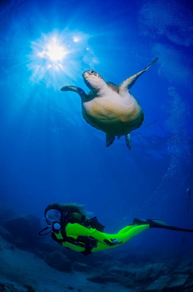Canarias promociona sus fondos marinos en la Mediterranean Diving Show