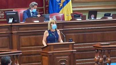 NC apoya el informe favorable a la restitución del REF del cine canario acordada entre Nueva Canarias y el PSOE