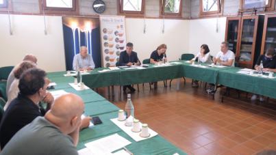 El sector apícola respalda la estrategia del Cabildo para garantizar el futuro de la actividad