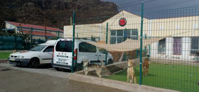 Las instituciones de La Gomera y Pro Animal comienzan a trabajar en la renovación del convenio de colaboración