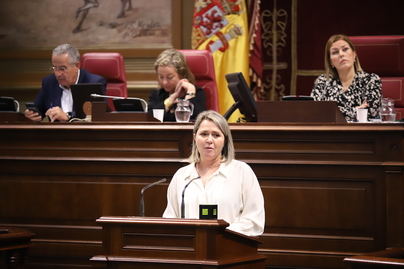 “El Gobierno vuelve a olvidarse de las personas afectadas con el decreto de reconstrucción de La Palma"
