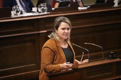“Les pedimos que reflexionen y mejoren el Decreto de reconstrucción por el bien de La Palma”