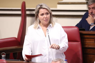 “Ustedes se cargan la estrategia para la justicia climática de Canarias”