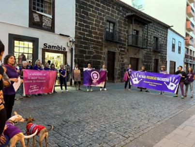 El Cabildo atiende a más de 160 mujeres y casi 50 menores por violencia de género