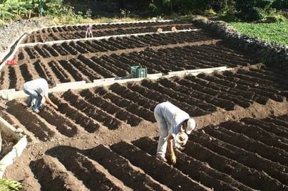 El Cabildo de La Gomera aprueba las nuevas bases de las subvenciones del sector primario