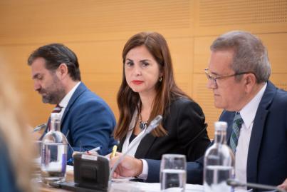 El PP pide al Cabildo que lidere mecanismo para agilizar la revisión de precios a las constructoras tinerfeñas que estén realizando obra pública