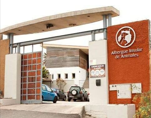 Actualización del procedimiento de adopciones del Albergue de Animales