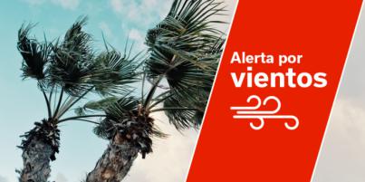 El Gobierno declara la situación de Alerta por Viento en La Palma y Tenerife