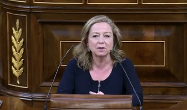 Coalición Canaria rechaza la Ley de Vivienda que tacha de "disparate"