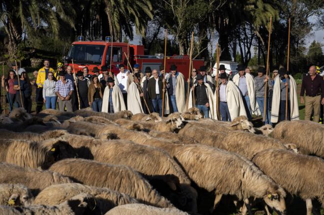 Las protestas del campo