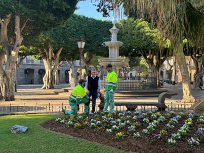 La Laguna denuncia el robo de plantas en distintos jardines del casco histórico