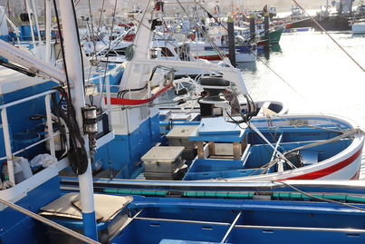 El Gobierno de Canarias defiende ante el Ministerio las reivindicaciones del sector pesquero sobre la tuna