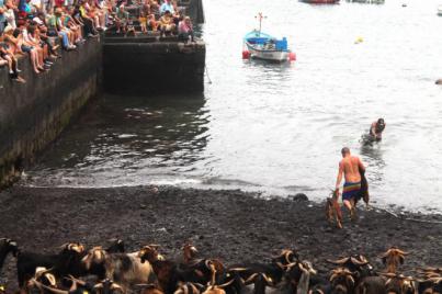 Fuego, música y arte protagonistas en las Fiestas de San Juan de Puerto de la Cruz