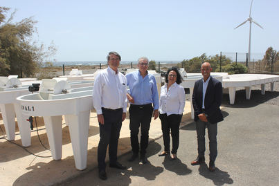 Cepsa y el Instituto Tecnológico de Canarias se unen para desarrollar biocombustibles a partir de microalgas