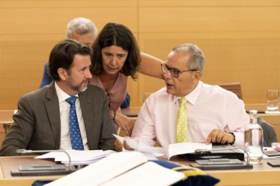 CC-PNC advierte que la instalación de la incineradora en Arico incumple la normativa de residuos y el Plan Territorial
