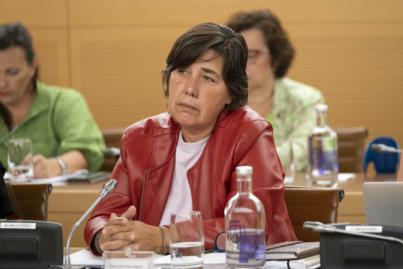 CC-PNC exigirá la retirada del borrador del PRUG del Teide en el Pleno Extraordinario del jueves