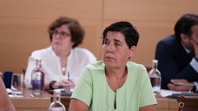 CC-PNC critica la falta de consenso para regular las actividades en el Teide