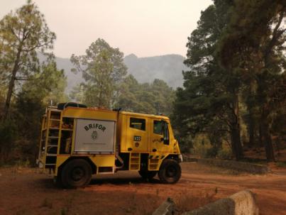 El Cabildo trabaja en los puntos calientes del incendio forestal para darlo por controlado