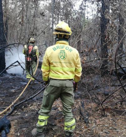 Se prolonga la alerta por incendio forestal en la Isla