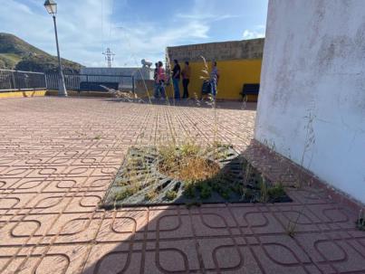 CC-PNC constata el abandono del Gobierno municipal a la zona del Bronco-Lomo Largo