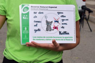 Una colonia felina pone en peligro a la fauna de la Reserva Natural de las Dunas