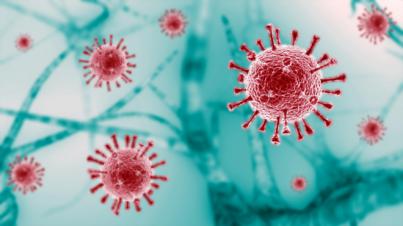 Tres investigadores de la ULPGC diseñan una metodología nueva para estimar la evolución de parámetros epidemiológicos
