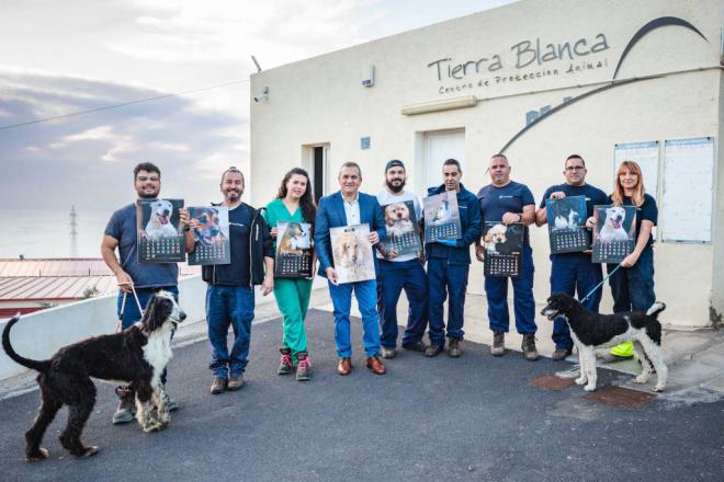 Campaña de concienciación contra el abandono de animales
