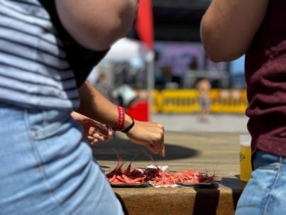 Bajamar celebra sus 60 años en el mapa turístico nacional