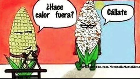 Las autoridades recomiendan no salir de casa debido a las altas temperaturas