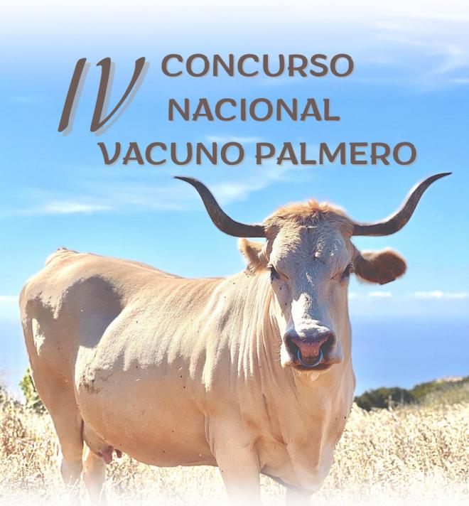 Villa de Mazo acoge el IV Concurso Nacional de Criadores de Ganado Vacuno de Raza Palmera