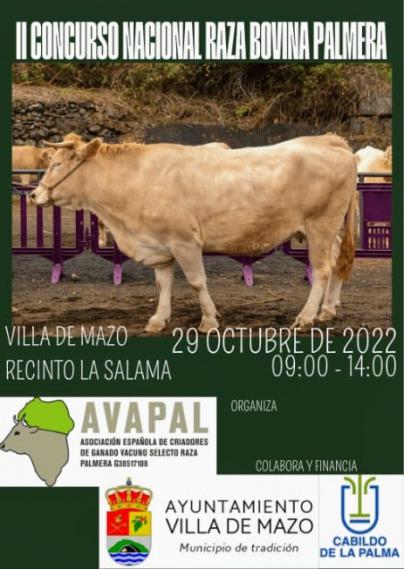 Villa de Mazo celebra este fin de semana el II Concurso Nacional de la Raza Bovina Palmera