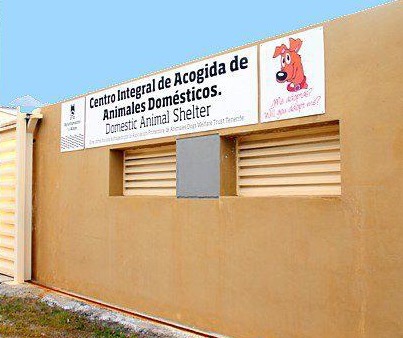 El PSOE rechaza que el Centro de Acogida de Animales sea gestionado por asociaciones