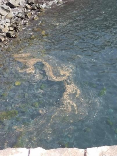 CC de Candelaria denuncia el “nulo interés” del PSOE durante años por el saneamiento en el municipio