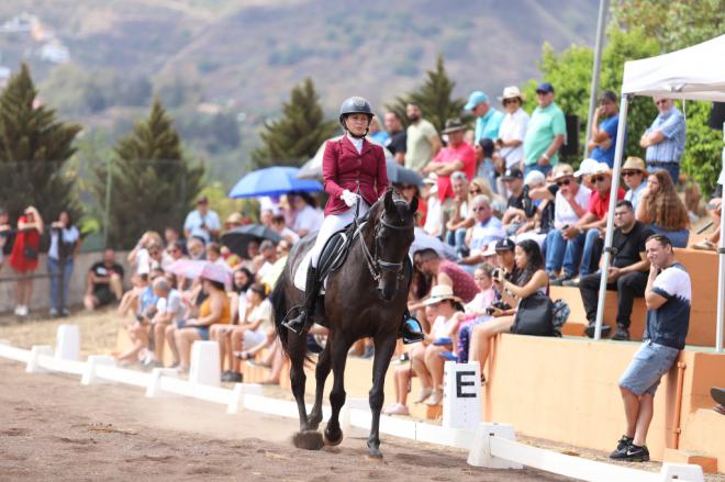 Pinto Santo Alto celebra este domingo el Día del Caballo