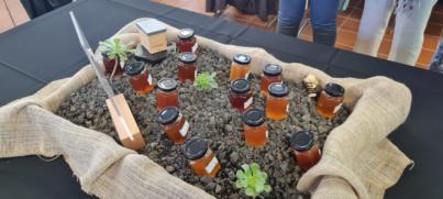 El incendio de Tenerife afecta la producción de miel este año