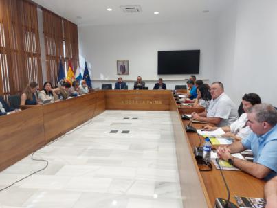 Camacho defiende en el Consejo Sectorial de Turismo que La Palma continúa creciendo turísticamente