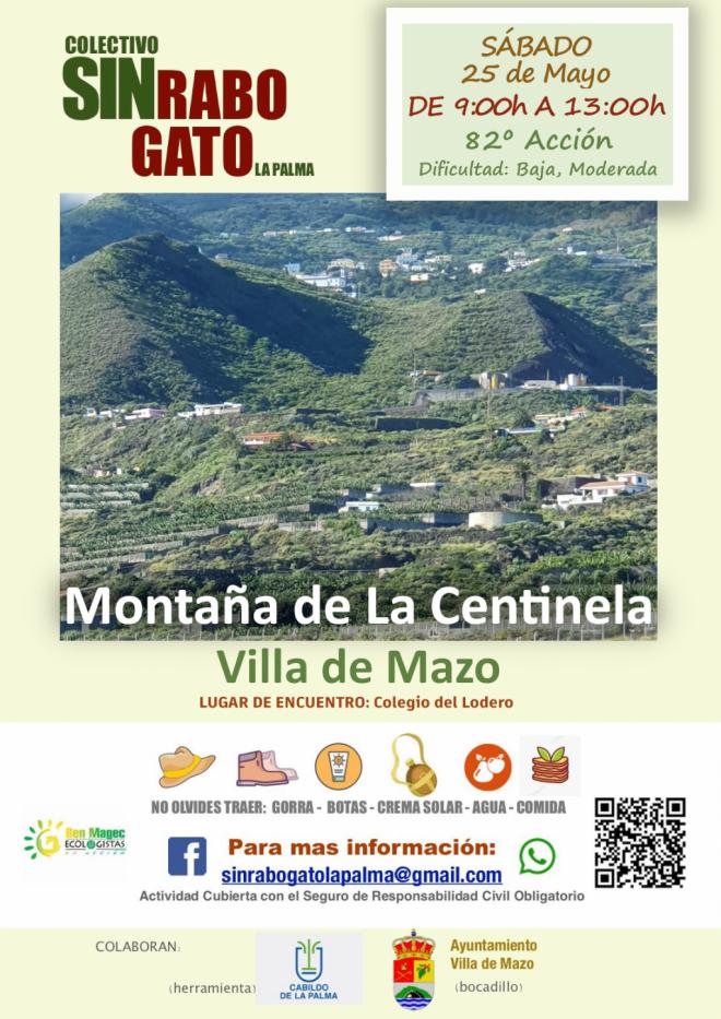 Rabo de gato en La Palma