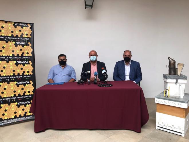 Los criadores de abeja negra canaria piden la declaración de Tenerife como reserva única para la protección de esta especie