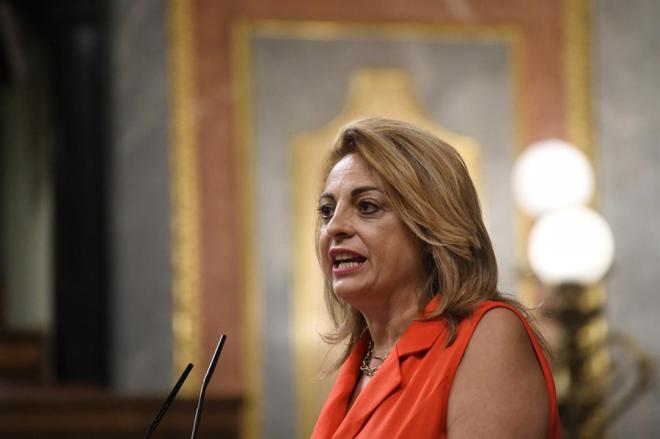 Valido critica la falta de compromiso del Estado y autonomías en la crisis