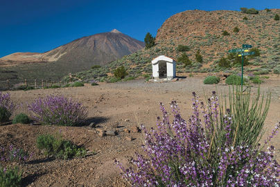 El alcalde de Los Realejos solicitará formalmente la paralización del Plan Rector de Uso y Gestión del Teide