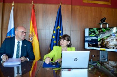 El Servicio Canario de Empleo presenta una nueva oferta formativa, específica para La Palma