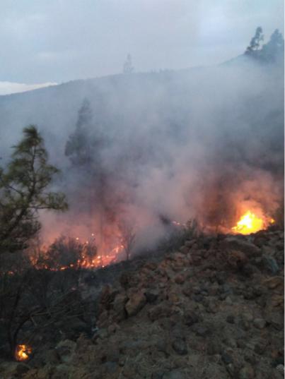 Declarado un incendio forestal en la zona alta de Granadilla
